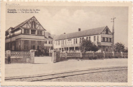 Delcampe - Coxyde Bains - Koksijde Bad - L' Etoile De La Mer - De Ster Der Zee - Koksijde