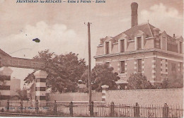 Delcampe - FRONTIGNAN Les MUSCATS ( 34 ) - Usine à Pétrole - Frontignan