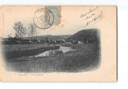 Delcampe - MELISEY - Vue Générale - Très Bon état - Mélisey