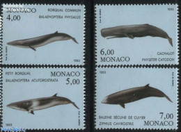 Delcampe - Monaco 1993 Sea Mammals 4v, Mint NH, Nature - Sea Mammals - Ungebraucht