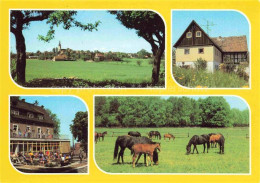 Delcampe - Plotzen Hochkirch Panorama Blick Auf Hochkirch Teilansicht Plotzen Kinderkurheim - Hochkirch