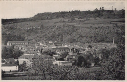 Delcampe - Luxembourg Diekirch Panorama Vue Énérale De La Ville Riquewihr #SBU869 - Diekirch