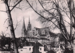 Delcampe - 28 CHARTRES LA CATHEDRALE - Chartres