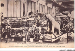 Delcampe - CAR-AAUP4-0308 - MONACO - Musée Oceanographique De MONACO - Oceanographie Zoologique - Sonstige & Ohne Zuordnung