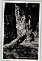 Delcampe - 6340 Baar Foto AK Verlag U. Fotgraf Max Burkhardt Dom Mit Krokodil Höllg... - 39491306 - Baar