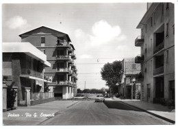 Delcampe - Pedaso - Via G. Leopardi - Sonstige & Ohne Zuordnung