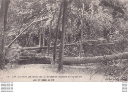 Delcampe - C16-94) LES ROUTES DU BOIS DE VINCENNES DEPUIS LE CYCLONE DU 16 JUIN 1908  - ( 2 SCANS ) - Vincennes