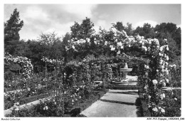 Delcampe - AOVP12-0834-ESPAGNE - MADRID - Parc Du Retiro - La Roseraie - Madrid