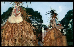 Delcampe - Pentecost Island Ceremonial - Dance - Vanuatu