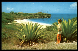 Delcampe - Barbados - Foul Bay, St Philip - Barbados