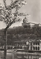 Delcampe - AE3635 Torino - Fiume Po - Monte Dei Cappuccini - Panorama / Viaggiata 1960 - Fiume Po