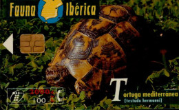 Delcampe - FAUNA IBERICA...TORTUE - Chiens