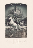 Delcampe - Exlibris Für Riccardo Brondolo - Unicorn / Einhorn / Bulgarien Bulgaria / Radierung Etching - Ex-libris