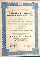 Delcampe - Sambre Et Meuse (société Belge De Navigation Intérieure à Anvers) - 1950 - Navigation