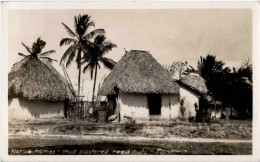 Delcampe - Panama - Native Homes - Panama