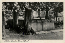 Delcampe - Husum - Halligen