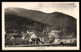 Delcampe - AK Klingenthal, Teilansicht Mit Bergen - Klingenthal