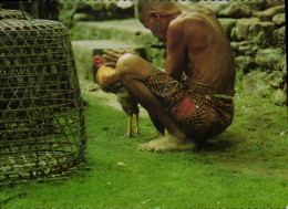 Delcampe - CPM Bali The Old Man Is Caressing His Champ Cock A Familiar Sight On Bali Island Coq - Indonesien