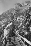 Delcampe - 98 MONACO JARDIN EXOTIQUE - Exotischer Garten