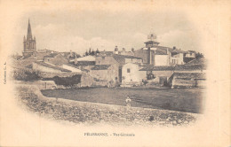Delcampe - 13-PELISSANNE-N°2151-C/0213 - Pelissanne