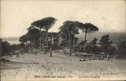 Delcampe - CPA Les Lecques Var Les Pins Parasols - Les Lecques