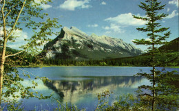 Delcampe - Mount Rundle CPM Canada - Autres & Non Classés