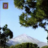 Delcampe - CPSM Pureto De La Cruz Tenerife - Fuerteventura