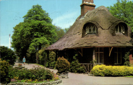 Delcampe - CPM Belle Vue Park Lowestoft - Lowestoft