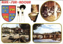 Delcampe - CPSM Aire Sur Adour Capitale Du Foie Gras - Aire