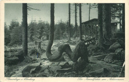 Delcampe - CPM Braunlage Oberharz - Oberharz