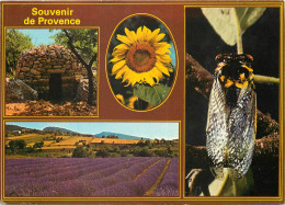 Delcampe - CPSM Souvenir De Provence - Clervaux