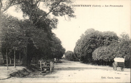 Delcampe - Courtenay CPA Les Promenades - Courtenay