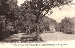 Delcampe - CPA Chateauneuf Les Bains P De D L'alee Des Chatalgniers Au Bord De Sioule - Chateauneuf La Foret