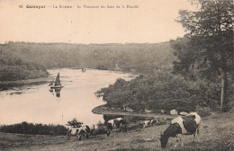 Delcampe - 29 QUIMPER LA RIVIERE - Quimper