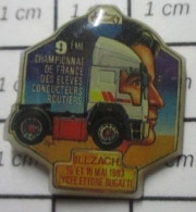 Delcampe - Pin211c     TRANSPORTS CHAMPIONNAT DE FRANCE DES ELEVES CONDUCTEURS ROUTIERS ILLZACH LYCEE BUGATTI - Trasporti