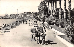 Delcampe - 06-CANNES-N°631-E/0235 - Cannes