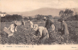 Delcampe - 06-GRASSE-N°631-E/0219 - Grasse