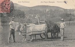 Delcampe - LES PYRENEES AU PAYS BASQUES  PAYSANS BASQUES - Midi-Pyrénées