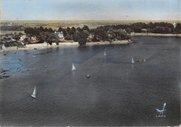 Delcampe - 56-ARRADON-PANORAMA SUR KERGUEN-N°631-D/0111 - Arradon