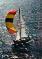 Delcampe - VOILE - VOILIER SUR LA COTE - Segelboote