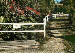 Delcampe - Carte Postale - 32 - Barbotan Les Thermes - Entrée Du Parc - Les Lotus - Fleurs - CPM - Voir Scans Recto-Verso - Poscard - Barbotan