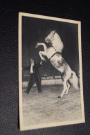 Delcampe - Ancienne Photo De Cirque,Radio Circus,Oural,le Cheval Cabreur,maître écuyer Al. Gruss,originale, Collection,collector - Berühmtheiten