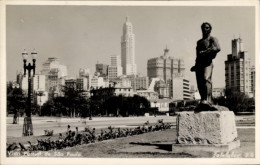 Delcampe - CPA São Paulo Brasilien, Teilansicht, Statue - Sonstige