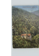 Delcampe - Buehl Baden Stempelabschlag] Kurhaus Wiedenfelsen - Bühl