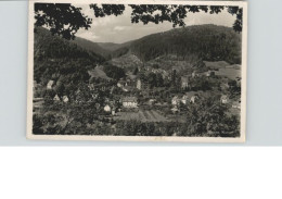 Delcampe - Hirsau - Calw
