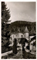 Delcampe - Badenweiler - Schloss Hausbaden - Badenweiler