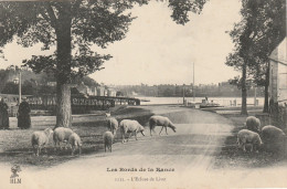 Delcampe - 22. DINAN. CPA. LES BORDS DE LA RANCE.  L' ECLUSE DE LIVET. MOUTONS EN LIBERTE. - Dinan