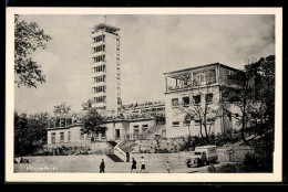 Delcampe - AK Berlin-Köpenick, Blick Zum Müggelturm - Koepenick