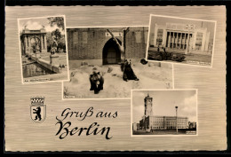 Delcampe - AK Berlin-Friedrichshain, Am Märchenbrunnen, Berliner Bären, Deutsche Sporthalle, Rathaus - Friedrichshain