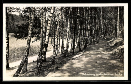 Delcampe - AK Berlin-Zehlendorf, Birkenweg An Der Krummen Lanke - Zehlendorf